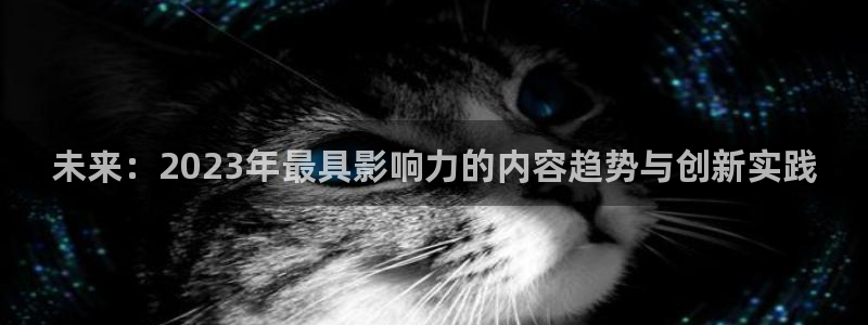 心糖vlo：未来：2023年最具影响力的内容趋势与创新实践
